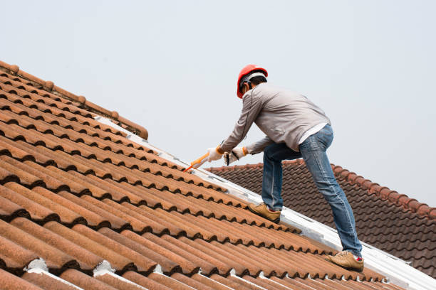 Best Roof Moss and Algae Removal  in Bay City, MI