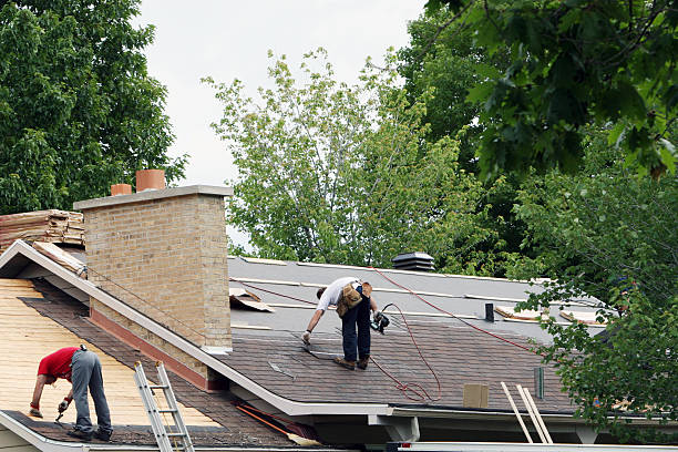 Best Hot Roofs  in Bay City, MI